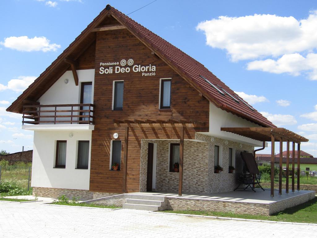 Pensiunea Soli Deo Gloria Sarmasag Exterior photo